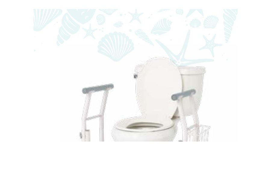 Freestanding Toilet Safety Rail from Care flyer